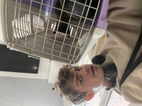 Photo de @Princitron